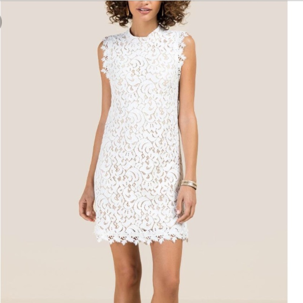 NWT Francesca’s Della Hi-neck Lace Shift Dress